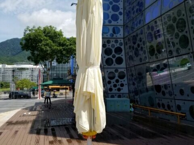 羅馬傘側立傘大傘